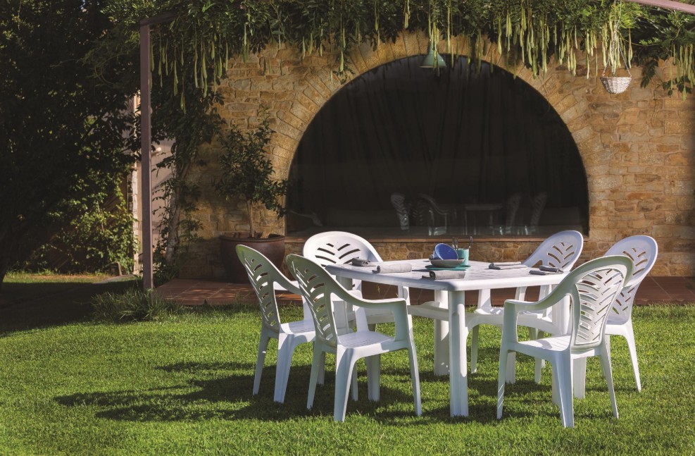 Pack 30 Sillas con Brazos PALMA en BLANCO 2